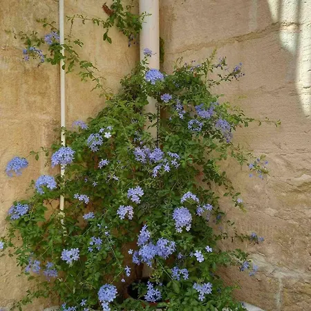 The Gem By Homely Santa Vennera