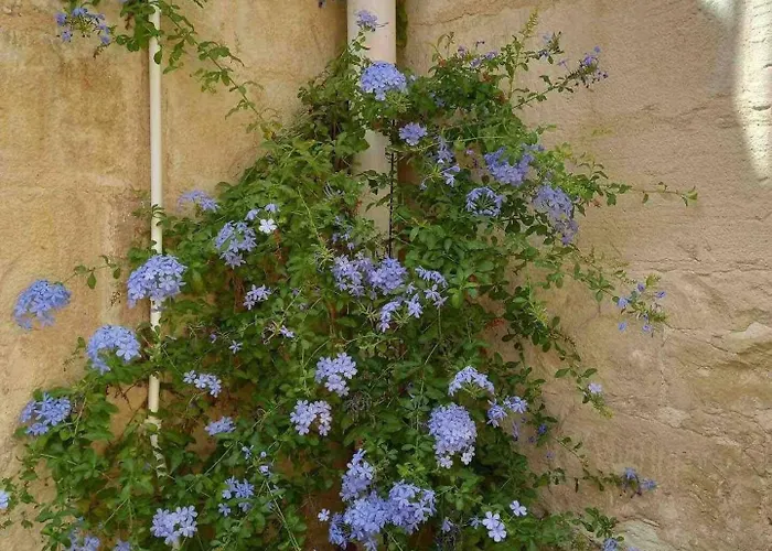 The Gem By Homely Santa Vennera